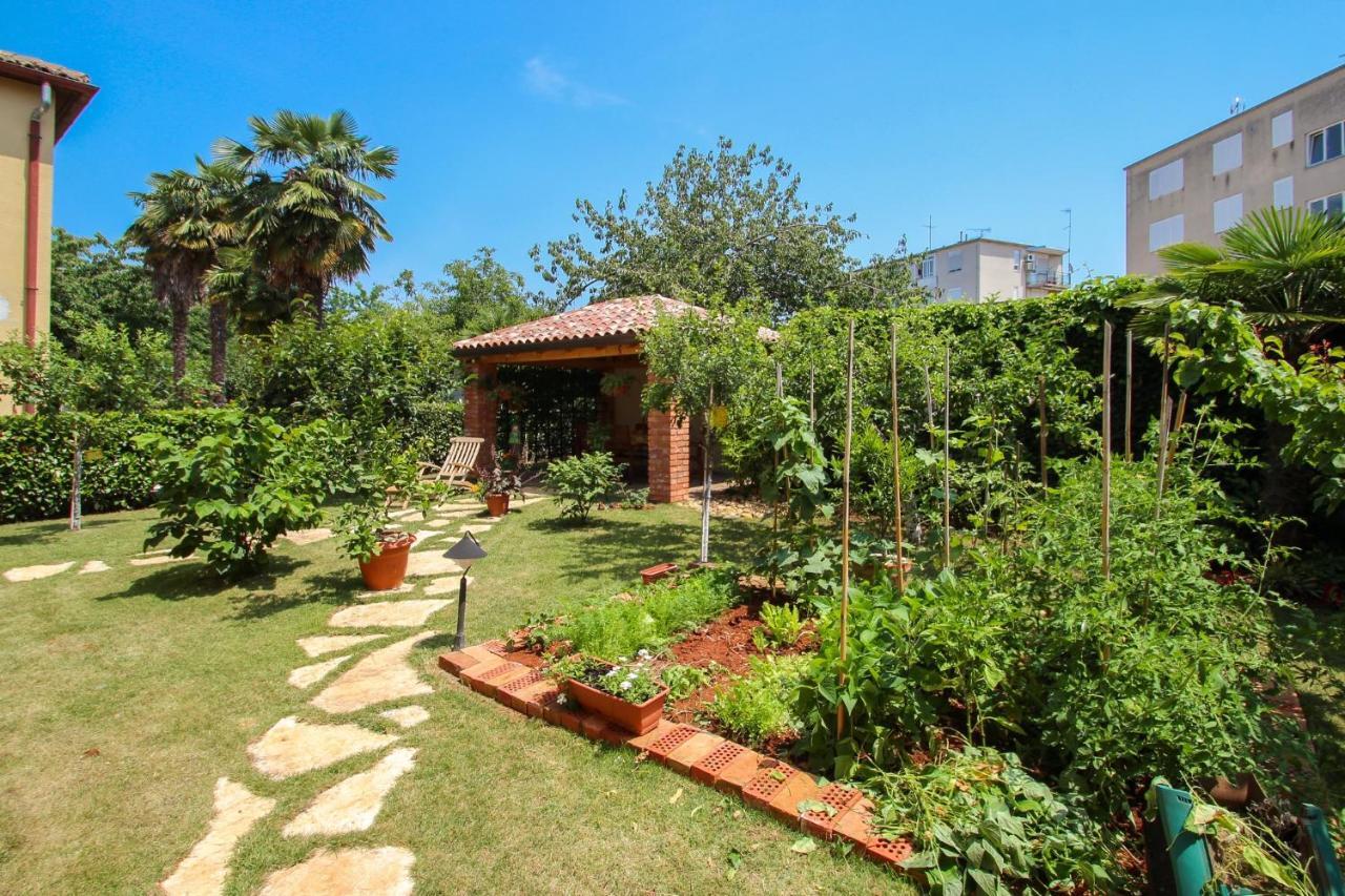 דירות Novigrad Istria Alenka Orange מראה חיצוני תמונה